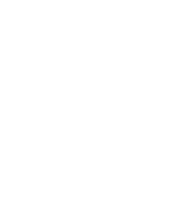 Pino taeda