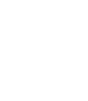 Pino ellioti