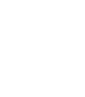 Eucalipto benthamii