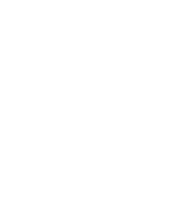 Misión gigante