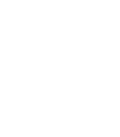 -	Yerba Mate