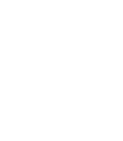 Pinus Elliotti