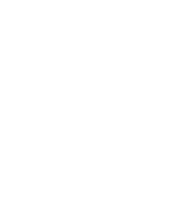 Pinus Taeda